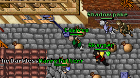 Casiveo on screen