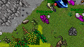 Polcerer on screen