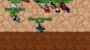 Wizzy'Druid on screen