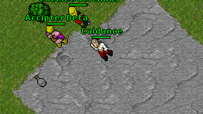 Caidance on screen