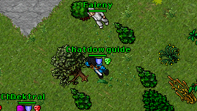 Faleny on screen