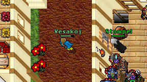 Vesakoj on screen