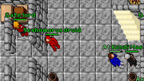 Seshomarus druid on screen