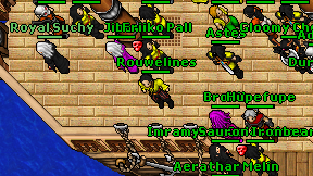 Rouwelines on screen