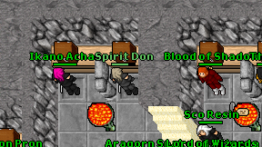 Spirit Don on screen