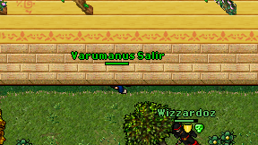 Varumanus Salir on screen