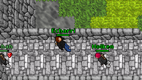 Echarri on screen