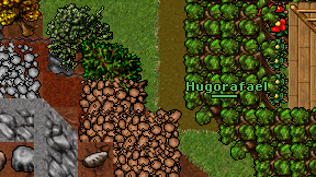 Hugorafael on screen