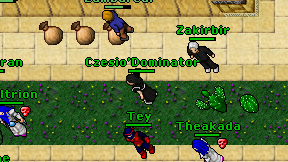 Czesio'Dominator on screen