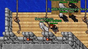Sarrearn on screen