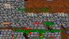 Protector of Paladyn on screen
