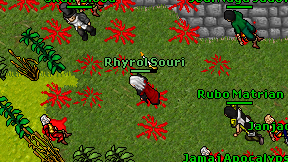 Rhyrol Souri on screen