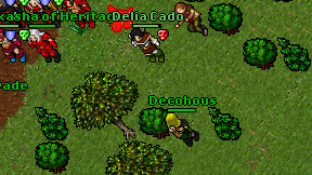 Decohous on screen