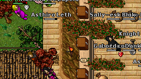 Knight of the bless on screen