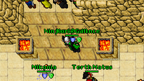 Ninja of Distance on screen