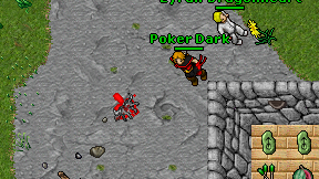 Poker Dark on screen