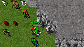 Arava on screen