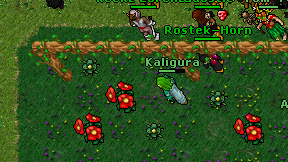 Kaligura on screen