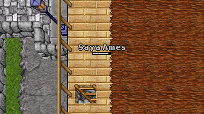 Saya Ames on screen