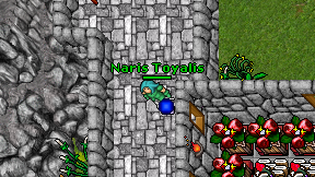 Naris Toyalis on screen
