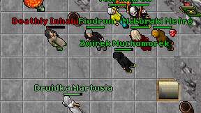 Zwirek Muchomorek on screen
