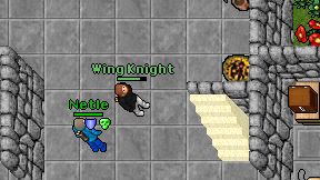 Wing Knight on screen