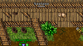 Saylano on screen