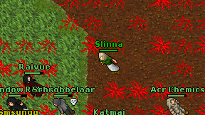 Slinna on screen