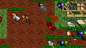 Hasot on screen