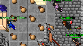 Warrior of firee on screen