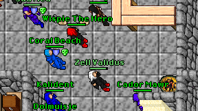Zell Validus on screen