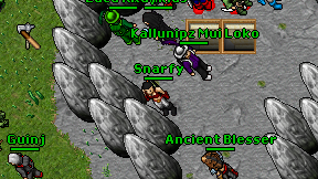 Snarfy on screen