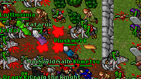 Pluskwerk on screen