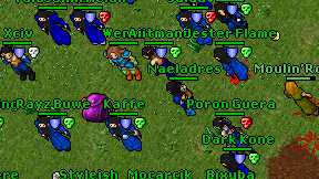 Naeladres on screen
