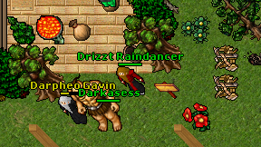 Drizzt Raindancer on screen