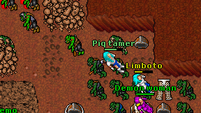 Piq tamer on screen