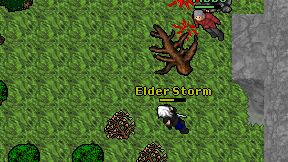 Elder Storm on screen
