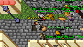 Aved Sentir on screen