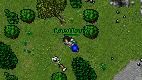 Daed Ruoy on screen