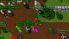 Nock Shao on screen