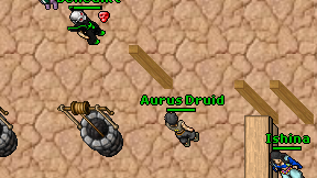 Aurus Druid on screen
