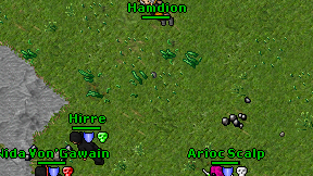 Hamdion on screen