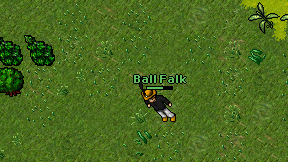Ball Falk on screen