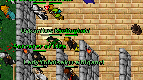 Sebagtw on screen