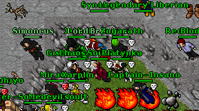 Synohef on screen