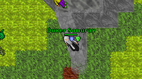 Duxer Samuray on screen