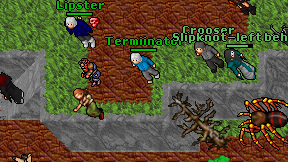 Termiinator on screen