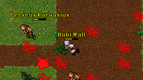 Bobi Wall on screen