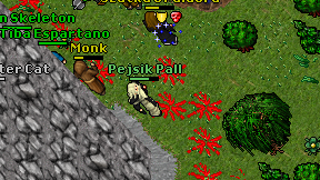 Pejsik Pall on screen