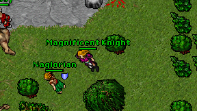 Magnificent Knight on screen